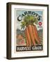 Fresh Carrots-K. Tobin-Framed Art Print