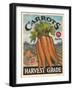 Fresh Carrots-K. Tobin-Framed Art Print