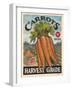 Fresh Carrots-K. Tobin-Framed Art Print