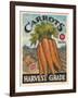 Fresh Carrots-K. Tobin-Framed Art Print