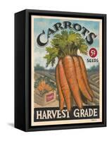 Fresh Carrots-K. Tobin-Framed Stretched Canvas