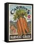 Fresh Carrots-K. Tobin-Framed Stretched Canvas