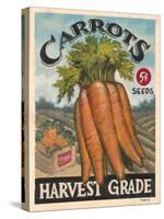 Fresh Carrots-K. Tobin-Stretched Canvas