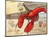 Fresh Catch Lobster-Paul Brent-Mounted Art Print