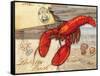 Fresh Catch Lobster-Paul Brent-Framed Stretched Canvas