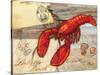 Fresh Catch Lobster-Paul Brent-Stretched Canvas