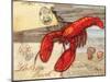 Fresh Catch Lobster-Paul Brent-Mounted Art Print
