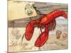 Fresh Catch Lobster-Paul Brent-Mounted Art Print