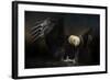 Fresh Catch-Jai Johnson-Framed Giclee Print