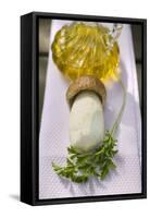 Fresh Cep, Parsley, Olive Oil-Eising Studio - Food Photo and Video-Framed Stretched Canvas