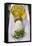 Fresh Cep, Parsley, Olive Oil-Eising Studio - Food Photo and Video-Framed Stretched Canvas