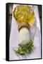 Fresh Cep, Parsley, Olive Oil-Eising Studio - Food Photo and Video-Framed Stretched Canvas