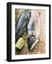 Fresh Charr, Lemon and Ice Cubes-Foodcollection-Framed Photographic Print
