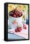 Fresh Cherries on a Garden Table-Eising Studio - Food Photo and Video-Framed Stretched Canvas