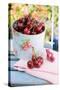 Fresh Cherries on a Garden Table-Eising Studio - Food Photo and Video-Stretched Canvas