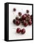 Fresh Cherries-Sam Stowell-Framed Stretched Canvas