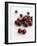 Fresh Cherries-Sam Stowell-Framed Photographic Print