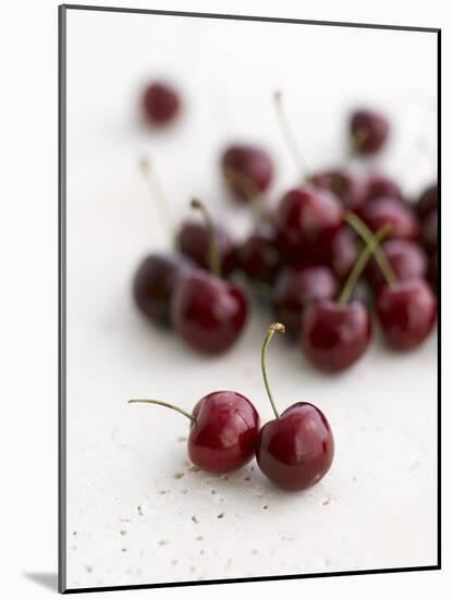 Fresh Cherries-Sam Stowell-Mounted Photographic Print