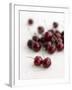 Fresh Cherries-Sam Stowell-Framed Photographic Print