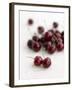 Fresh Cherries-Sam Stowell-Framed Photographic Print