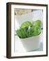 Fresh Chives and Basil in a Bowl-Eising Studio - Food Photo and Video-Framed Photographic Print