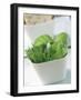 Fresh Chives and Basil in a Bowl-Eising Studio - Food Photo and Video-Framed Photographic Print