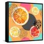 Fresh Citris and Colorful Circle Pattern-tanycya-Framed Stretched Canvas