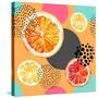 Fresh Citris and Colorful Circle Pattern-tanycya-Stretched Canvas