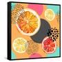 Fresh Citris and Colorful Circle Pattern-tanycya-Framed Stretched Canvas