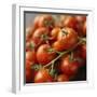 Fresh Cocktail Tomatoes Sprinkled with Water-null-Framed Photographic Print