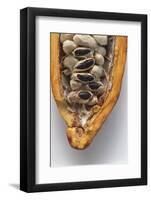 Fresh Cocoa Beans in Halved Cacao Fruit-Eising Studio - Food Photo and Video-Framed Photographic Print