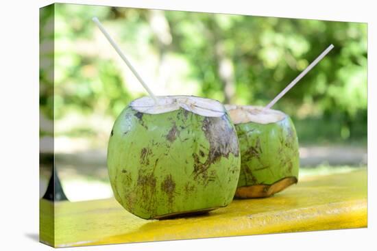 Fresh Coconut-Paul_Brighton-Stretched Canvas