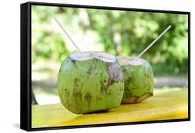 Fresh Coconut-Paul_Brighton-Framed Stretched Canvas