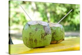 Fresh Coconut-Paul_Brighton-Stretched Canvas