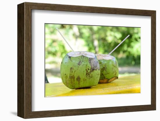 Fresh Coconut-Paul_Brighton-Framed Photographic Print
