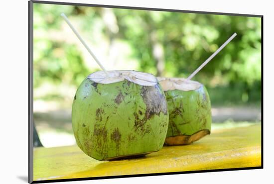 Fresh Coconut-Paul_Brighton-Mounted Photographic Print