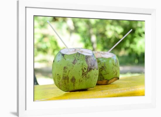 Fresh Coconut-Paul_Brighton-Framed Photographic Print