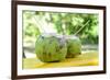 Fresh Coconut-Paul_Brighton-Framed Photographic Print