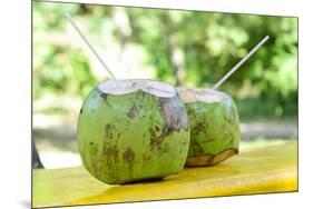 Fresh Coconut-Paul_Brighton-Mounted Photographic Print