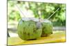 Fresh Coconut-Paul_Brighton-Mounted Photographic Print