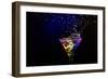 Fresh Coctail On The Black Background-goinyk-Framed Photographic Print