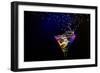 Fresh Coctail On The Black Background-goinyk-Framed Photographic Print