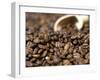 Fresh Coffee Beans Out of the Bag-Steven Morris-Framed Premium Photographic Print