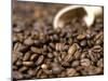 Fresh Coffee Beans Out of the Bag-Steven Morris-Mounted Premium Photographic Print