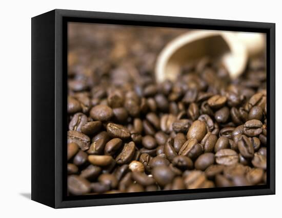 Fresh Coffee Beans Out of the Bag-Steven Morris-Framed Stretched Canvas