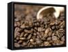 Fresh Coffee Beans Out of the Bag-Steven Morris-Framed Stretched Canvas