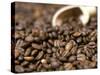 Fresh Coffee Beans Out of the Bag-Steven Morris-Stretched Canvas