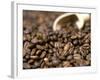 Fresh Coffee Beans Out of the Bag-Steven Morris-Framed Photographic Print