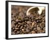 Fresh Coffee Beans Out of the Bag-Steven Morris-Framed Photographic Print