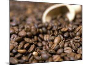 Fresh Coffee Beans Out of the Bag-Steven Morris-Mounted Photographic Print
